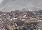 oplus_1048608