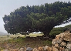 oplus_1048576